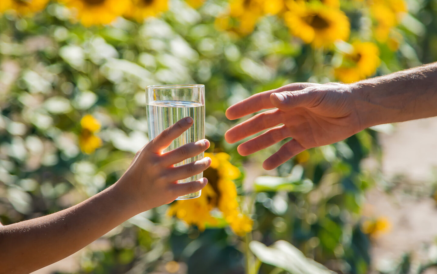 子どもの水分補給のタイミング・必要量とは？安全な夏を過ごすために知っておこう! | あんまーる