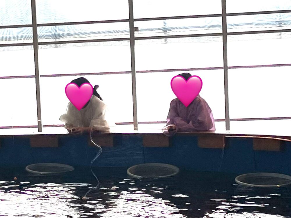 アンリのあんまーるーむ_梅雨
