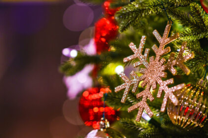 沖縄 2025年12月 イベント