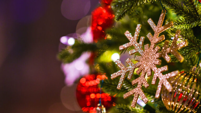 沖縄 2025年12月 イベント