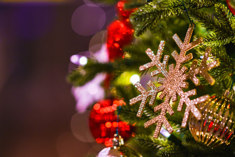 沖縄 2025年12月 イベント