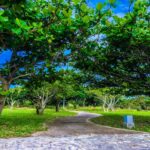 那覇市(広報誌 12月)