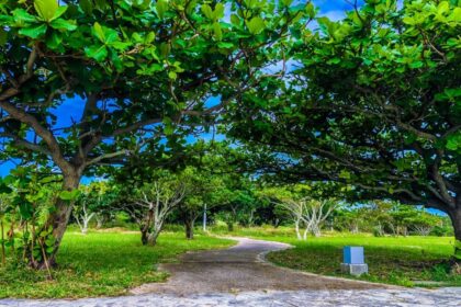 那覇市（広報誌 12月）