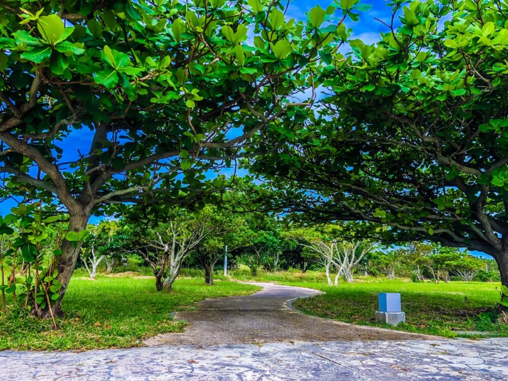 那覇市（広報誌 12月）