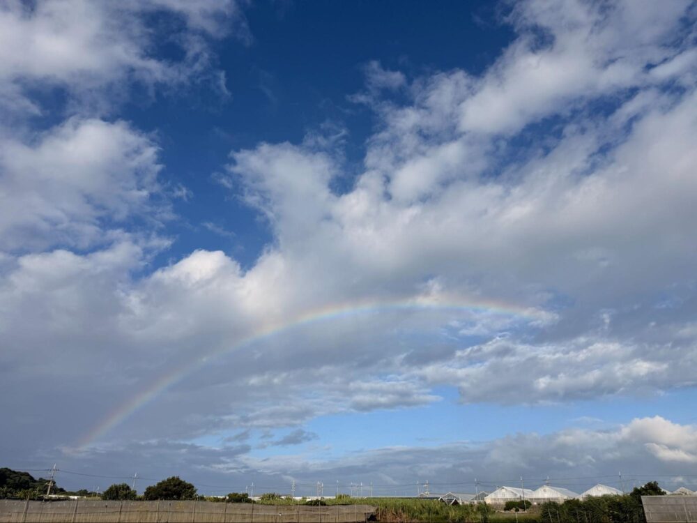 教えて平山先生！のんびりちむぐくる時間_自己紹介