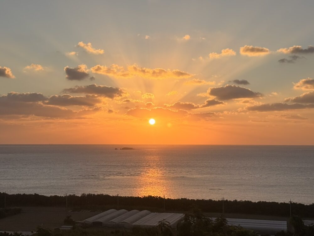 教えて平山先生！のんびりちむぐくる時間_強く言いすぎる