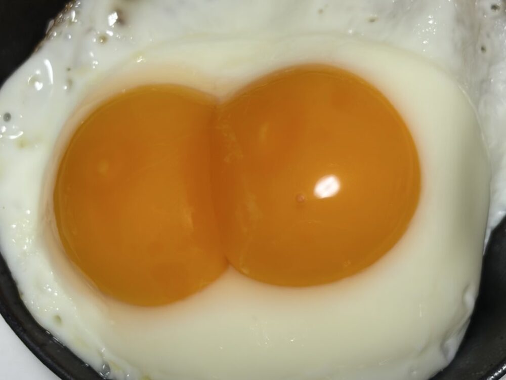 アンリのあんまーるーむ_お助けアイテムと初心忘れるべからず