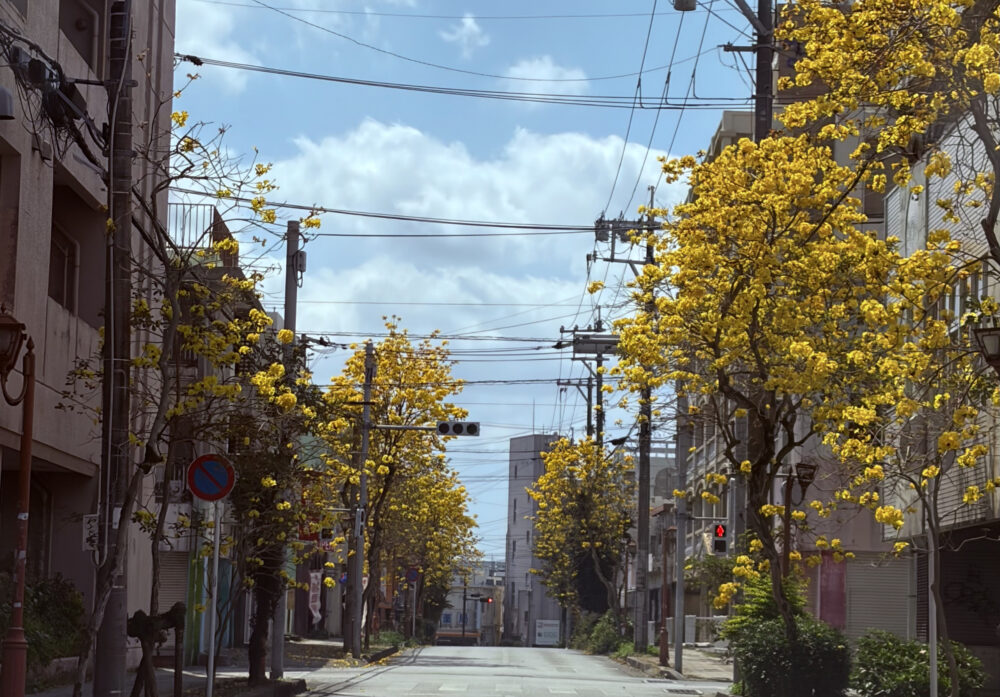 アンリのあんまーるーむ_春メイク