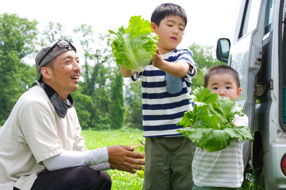 ラーケーション