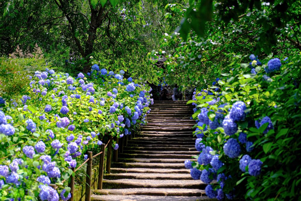 沖縄 2026年5月 イベント