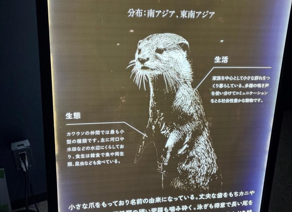 アンリのあんまーるーむ_前世と対話